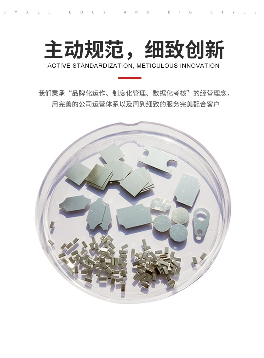 金川岛预成型银基系列焊片图片.png