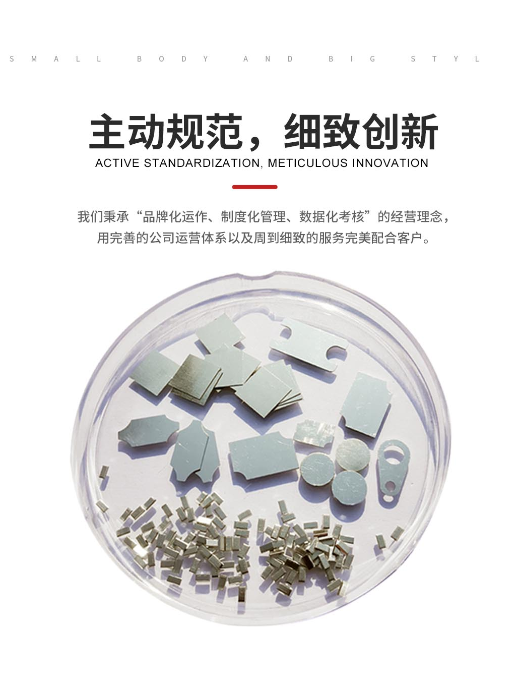 1784018176366027.png 金川岛预成型铅基系列图片.png